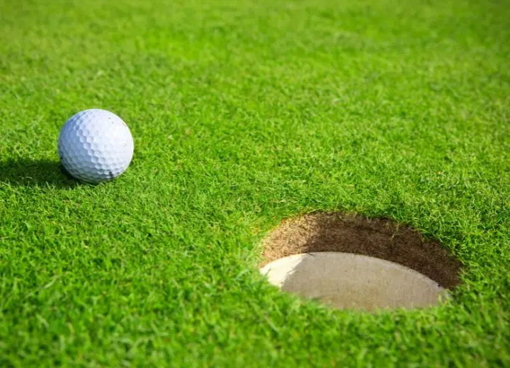 Putting Green solutions (2)