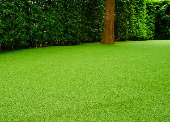 artificial Lawn