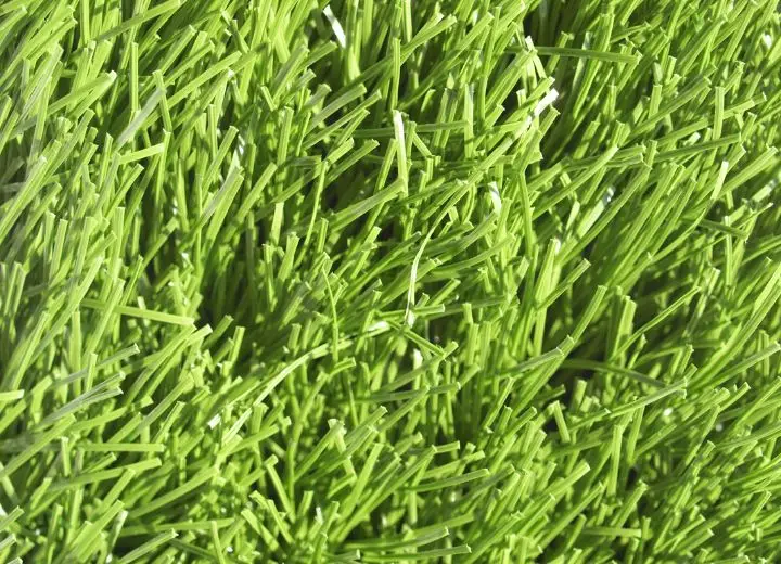 pet friendly artificial grass (5)