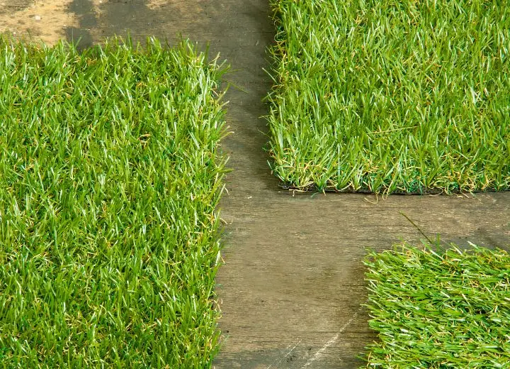 pet friendly artificial grass