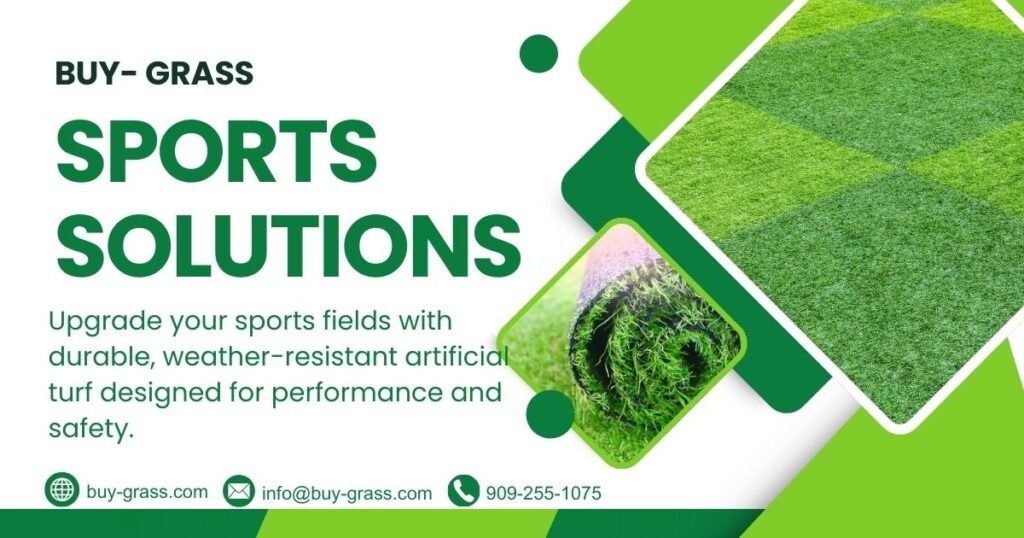 sports solutions