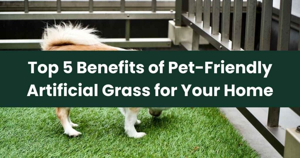 Benefits of Pet-Friendly Artificial Grass