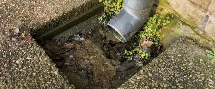 Causes of Drainage Issues