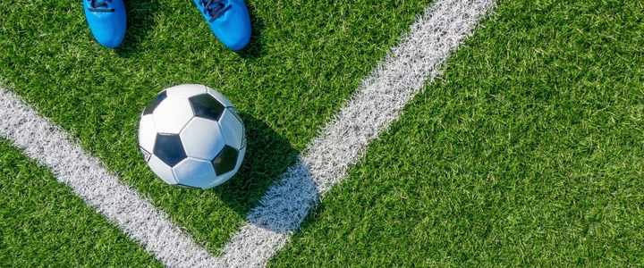 Durable Grass for High-Traffic Areas