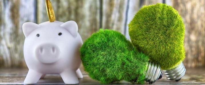 Influence Artificial Grass Costs