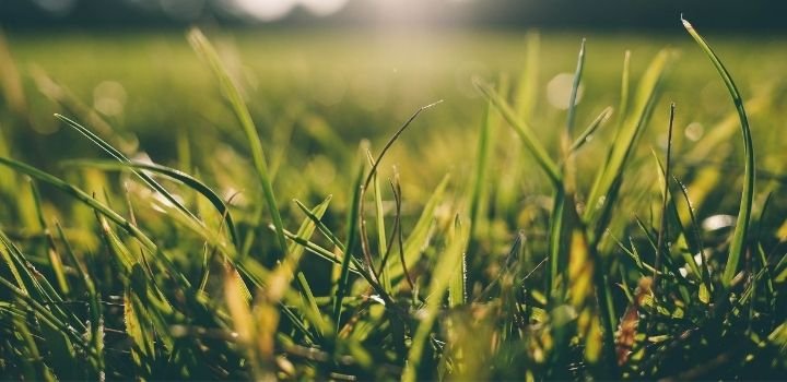 Practical Solutions to Cool Down Artificial Turf