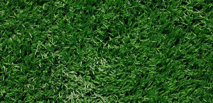 Artificial Turf