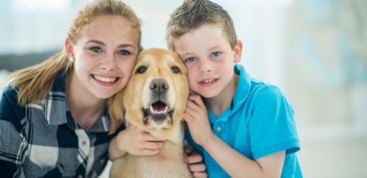 Pet Owners