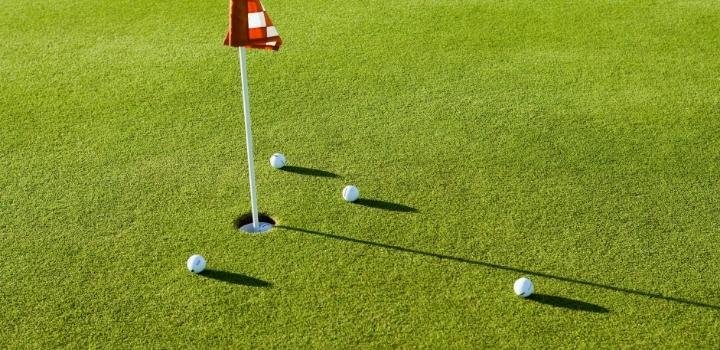 Maintenance Tips to Keep Your Putting Green in Top Shape