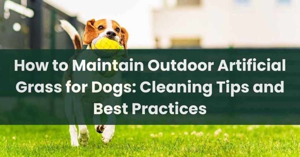 Outdoor Artificial Grass for Dogs