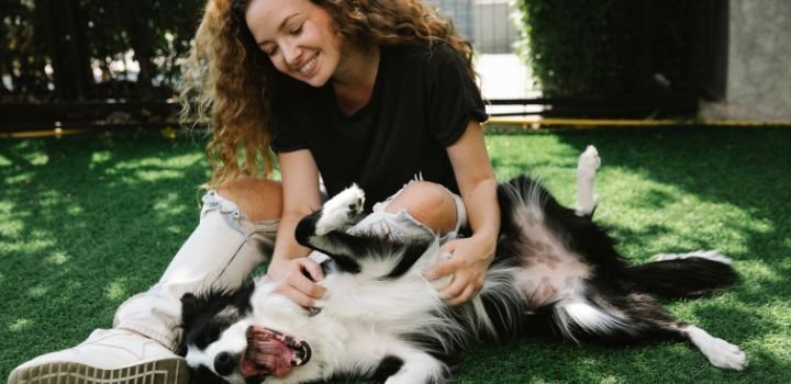 Smiling owner playing with Border Collie on lawn