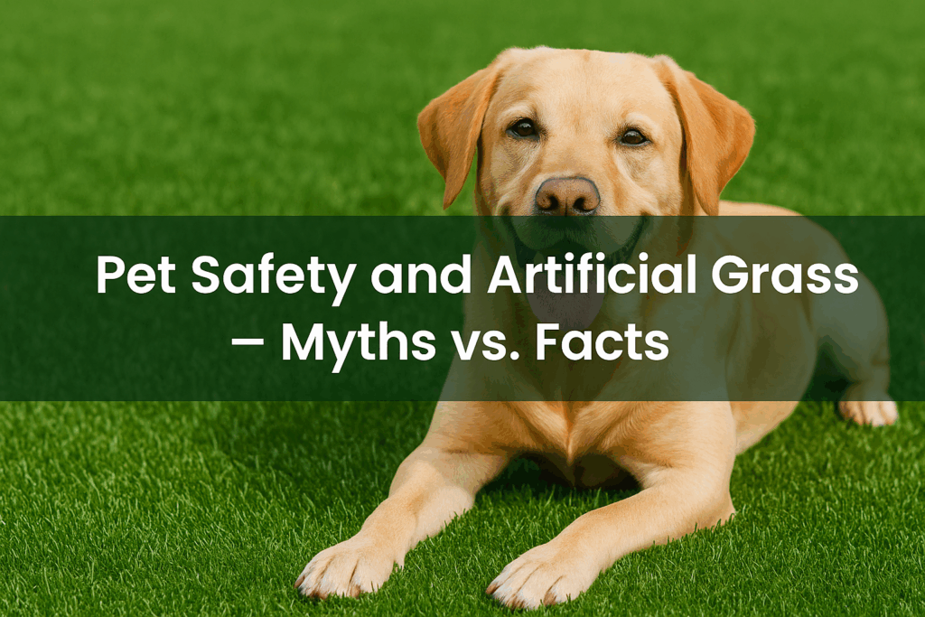 Pet Safety and Artificial Grass | Myths vs. Facts
