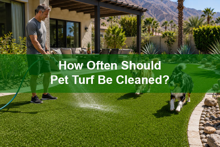 How Often Should Pet Turf Be Cleaned?